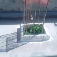 ديكورات حدائق • خدمة ديكور • ناصريه قضاء الغراف