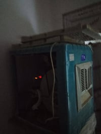 شغاله • جديده • تكريت