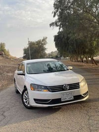 باسات • ٢٠١٤ • بدون صبغ