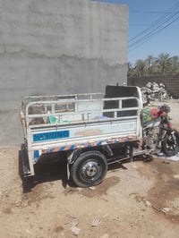 ستوته • شايننج • اوراق كامله