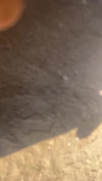 للبيع كاروبه سام على وضع الشركه ارقام وسنويه تحويل ت07803364418