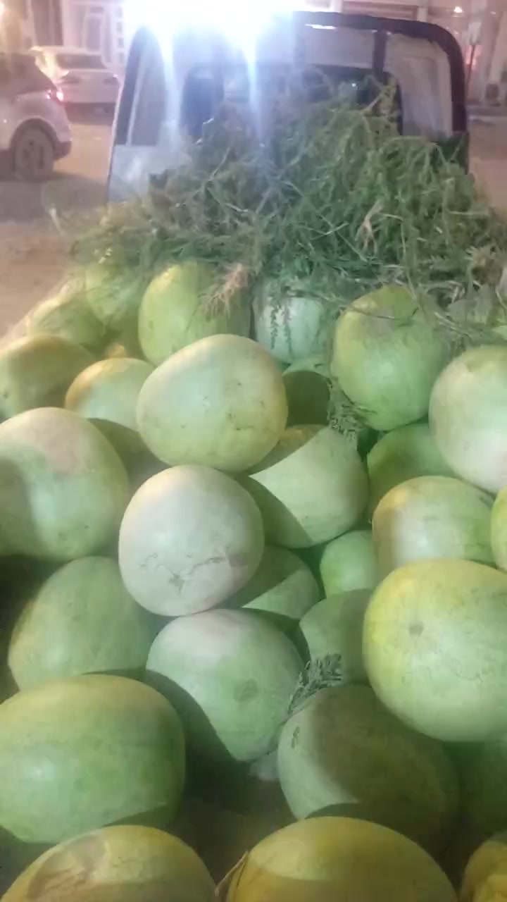 بسم لله ماشاء الله تبارك الرحمن بعد التوكل على الله رقي رقم ١،،،،،شرط الحمار والحلاوعل السجن يوجد لدينا توصيل كل سامراء حياكم الله وبياكم في علوه الأخوين ضياء *********** واتساب اتصال وحمد اتصال *********** يوجد
