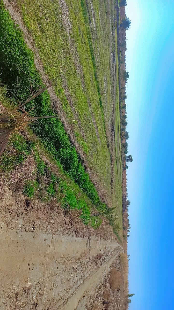 سلام عليكم أرض زراعيه مساحه 9  دونم صنف الأرض عقد 35  مجدد 24  بسمي منطقة جماليه للستفسار اتصل على الرقم ***********
