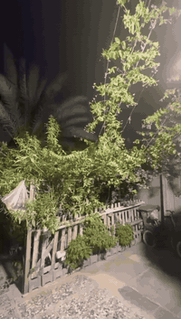 السلام عليكم
بيت للايجار نظيف 
مساحته 200 البناء 100
السعر 400وبي مجال
العنوان / حي اور / الغربر 
للاستفسار الاتصال على ***********
