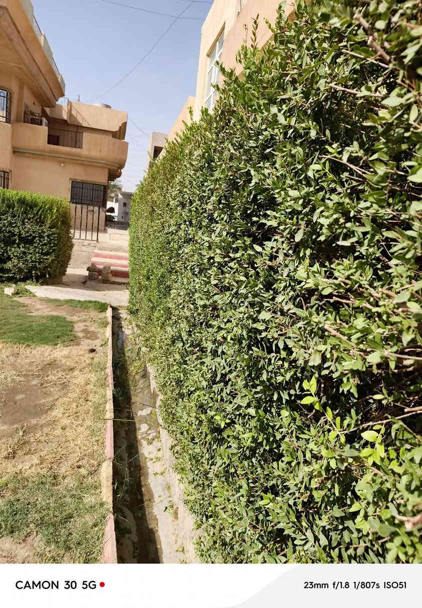 السلام عليكم اشتقل جميع الحدائق والبساتين  وتنظيف الحدائق من الدغل وتقليم الأشجار وزرع الشتل وقص الحدائق بل مكينه عل نمره وحدة وقص الأشجار الكبار  كادر متميز وسريع إتصل رقم الهاتف***********
