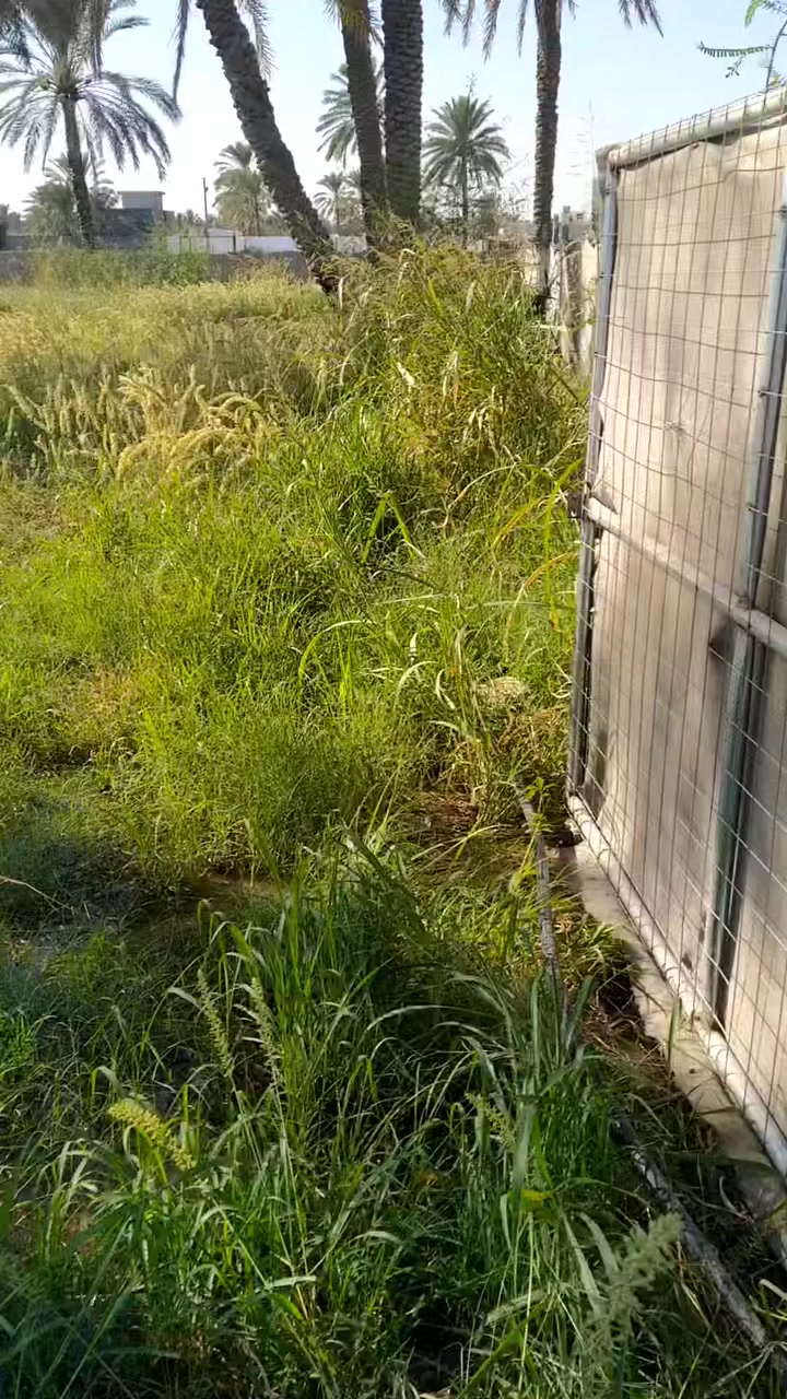 سلام عليكم أرض للبيع نص دونم طابو ملك سند 25 صرف بالمدائن شارع سيد علي ثاني قطعه تبعد عن شارع سيد علي 100م خدمات كاملة 
الاستفسار الاتصال أو مراسله واتس اب 
***********
