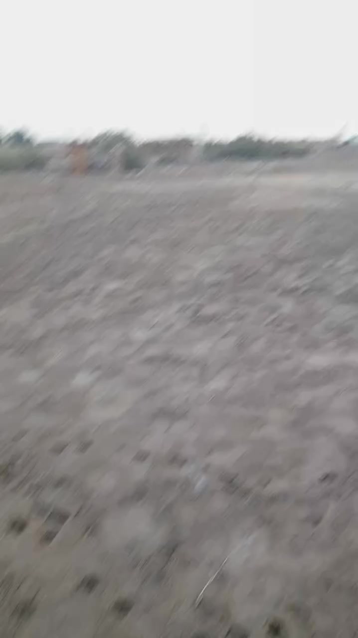 طريق الفريحي قريب على الشريف سلام الله عليه رقم ***********
