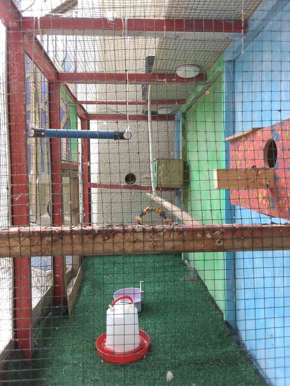 قفص للبيع مترتين اله اشويه بي اظائه وملحقاته ويا نظيف سعر60 بي مجال ماعدهم مكان اله مكلف بل نشر


**إذا كنت صاحب هذا الإعلان وتريد حذفه لأي سبب، رجاءا أرسل رسالة إلى الدعم الفني**