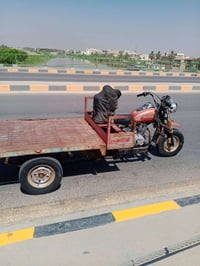 ستوته • بدون اوراق