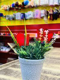 مزهريات • جودة عالية • سدة الهنديه