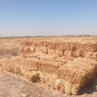 كبسات تبن • ٦٠٠ • خان النص