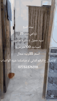 سيد جميل • ١٠٠م • زراعي سند ٢٥