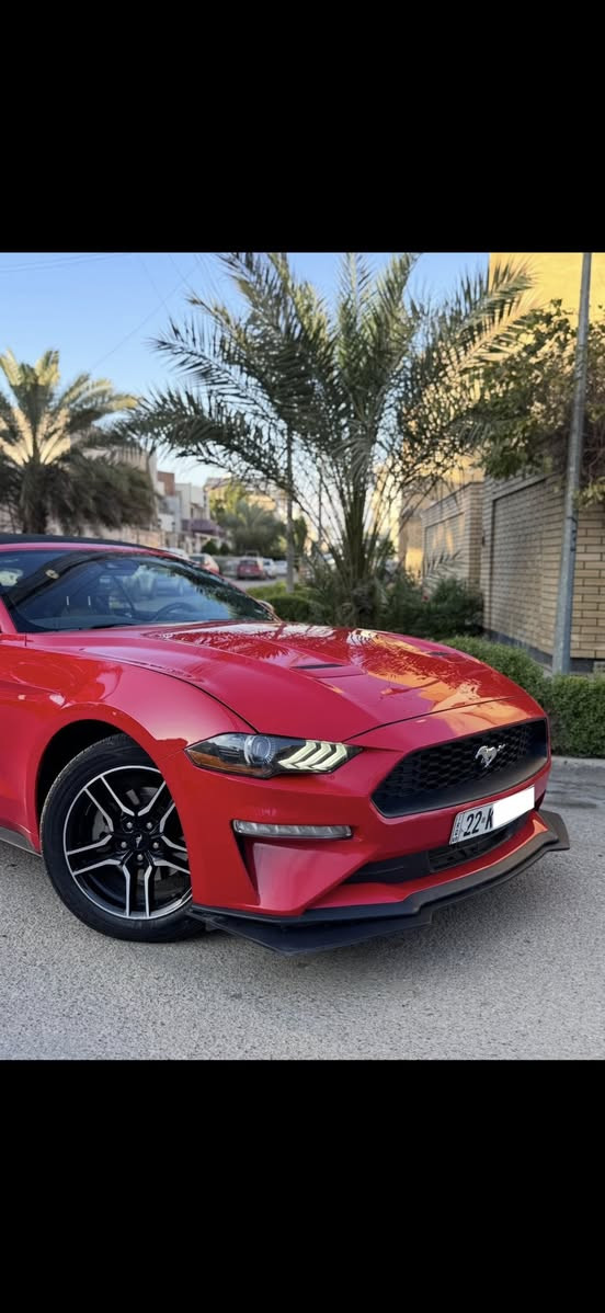 السلام عليكم
Mustang Premium 2022 1/1
ايكوبوست بجم كبس 
رقم اربيل باسمي
موصفات 
كشف
بصمه 
ترحيب 
تشغيل عن بعد 
كشنات تدفئه
كشنات تبريد 
سترين تدفئه  
وضعيات قياده
رادار امامي 
رادار جانبي نقط عمياء 
حساسات اماميه 
حساسات خلفيه 
شاشه كبيره 
وبعد بيها موصفات فول موصفات اعلى شي السياره 

سياره جديده بمعنى الكلمه محرك كفاله كير كفاله صدرها كهربائياتها تخم تاير جديد تبريد ثلج سياره كفاله بوضع شركه ادامه على المحرك من زيوت وفلاتر وبلكات 

طختها باب السايق والجاملغ وره السايق والباقي كله كفاله ونفسه مصلح يعني سياره بيها صبغ جاملغ خلفي وباب السايق والباقي كله كفاله سياره بجم كبس سياره مناسبه وحلوه مقارنه بالسيارات الي بيهم بجم وخمس قطع شوف السوك يلا تعلق وتخابر 🤍

رايدها ب166 ورجاء مو شراي لتعلق وتعبني كلمه طيبه منك واعبر المنشور حبيبي انت🤍
للاستفسار ***********
مكاني بغداد الوزيرية
