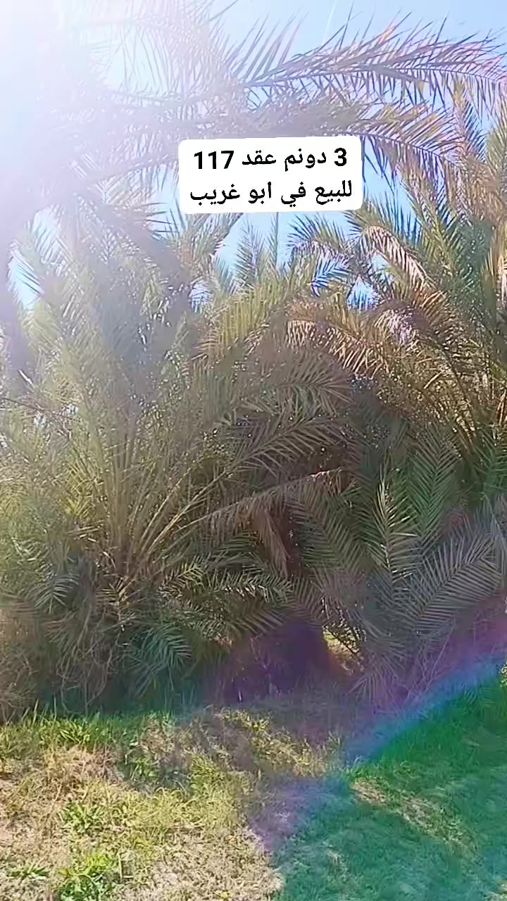 ***********
***********
للبيع 3 دونم عقد 117
