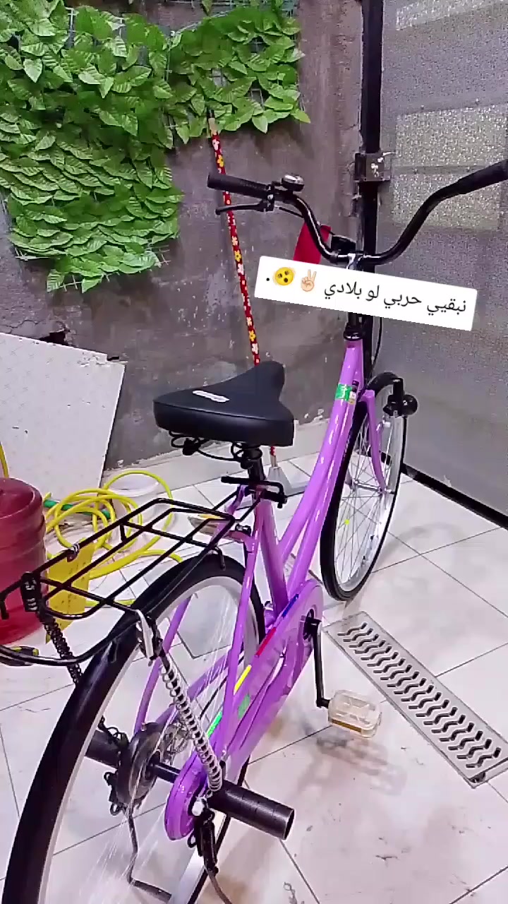 سلام عليكم بأيسكل البيع ب130ويا فسفورات 20وحده ويا سربنكه و كفاتت بيض قباقه بيض و فسفوره مال سكان ويا كصبب ويا نجوم و دواسات عنوان كربلاء حي العامل منطقه السادسه يم ازياء علي الهندي يم شركه الاماني والبان الفجر بأيسكل مرتب جديد شخصه مابيي


**إذا كنت صاحب هذا الإعلان وتريد حذفه لأي سبب، رجاءا أرسل رسالة إلى الدعم الفني**