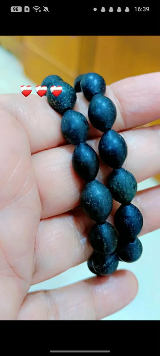 عباس آباد الطبيعي اسعار مناسبه


**إذا كنت صاحب هذا الإعلان وتريد حذفه لأي سبب، رجاءا أرسل رسالة إلى الدعم الفني**