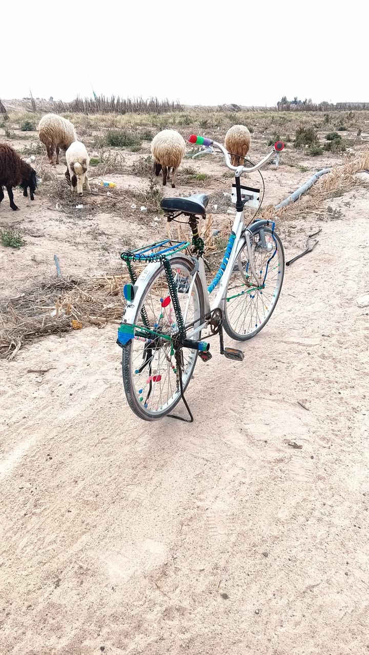 سلام عليكم باسكل نظيف  للبيع موديل2009ياباني من امه مكاني نجف حيدرية سعر 85 وبي مجال هوي كلشش رقم ***********
