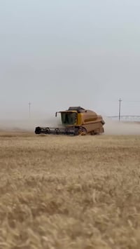 حاصدة للبيع موديل 2020 خمسة بلم اوربي فول مواصفات حجم 5.90  للاستفسار ...