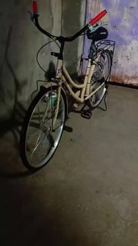 باسكن • حجم ٢٦ • موديل ٢٢