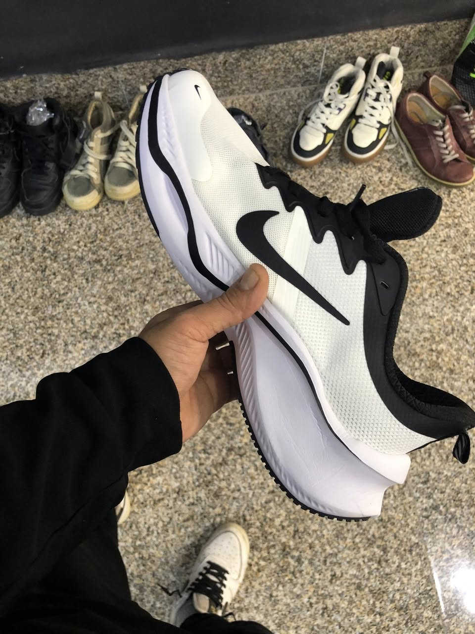 نايك زوم فيتانمي ماستر باركود شغال
قياس 44
سعر 25
توصيل جميع محافظات 5


**إذا كنت صاحب هذا الإعلان وتريد حذفه لأي سبب، رجاءا أرسل رسالة إلى الدعم الفني**