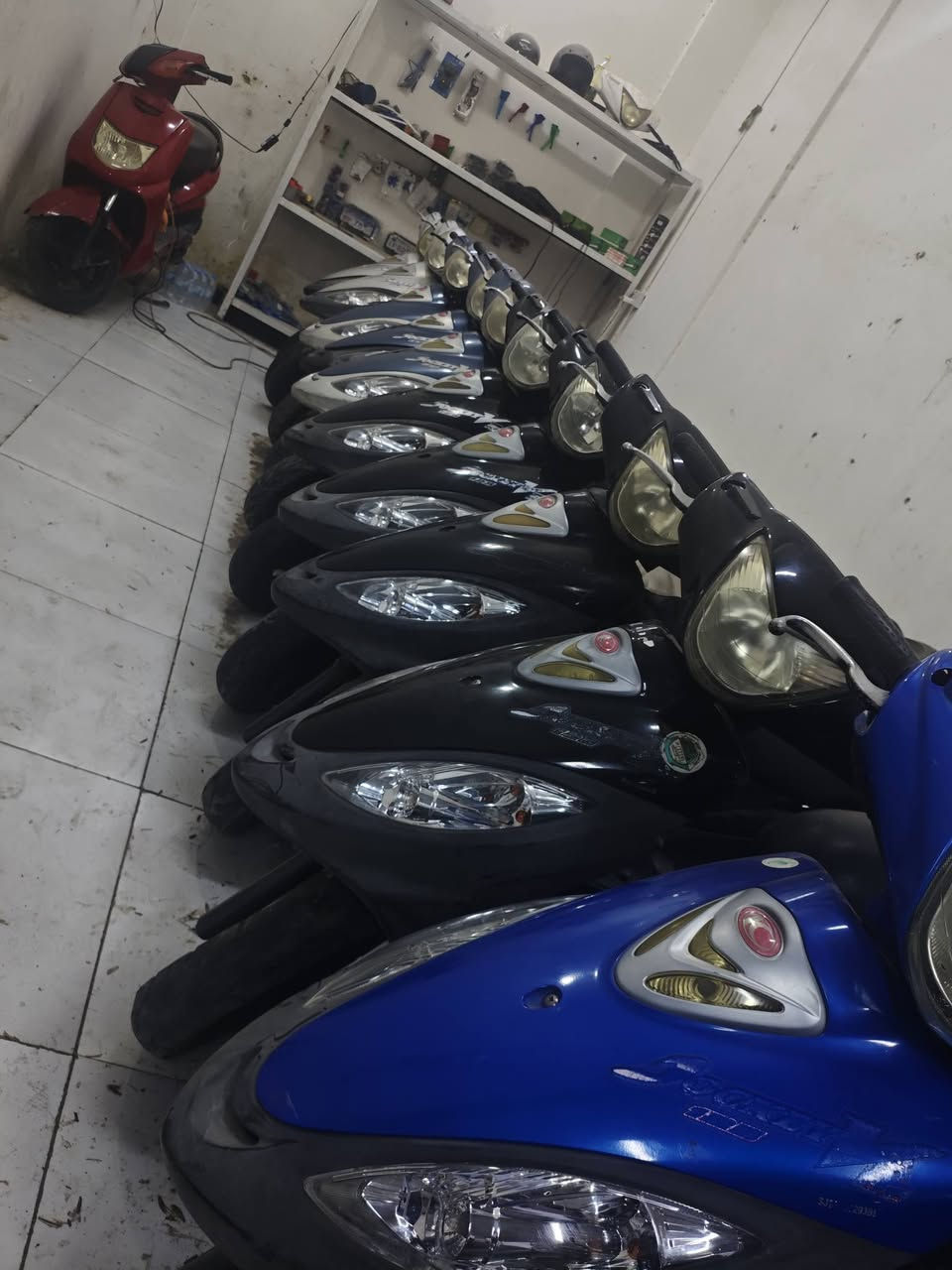 ياالله
مجمع فدك 

يوجد لدينه دراجات حاويه كامكو في تو و جميع ادواته الحتياطيه 

مكان شطره مقابيل حسنيت العمر 

***********
