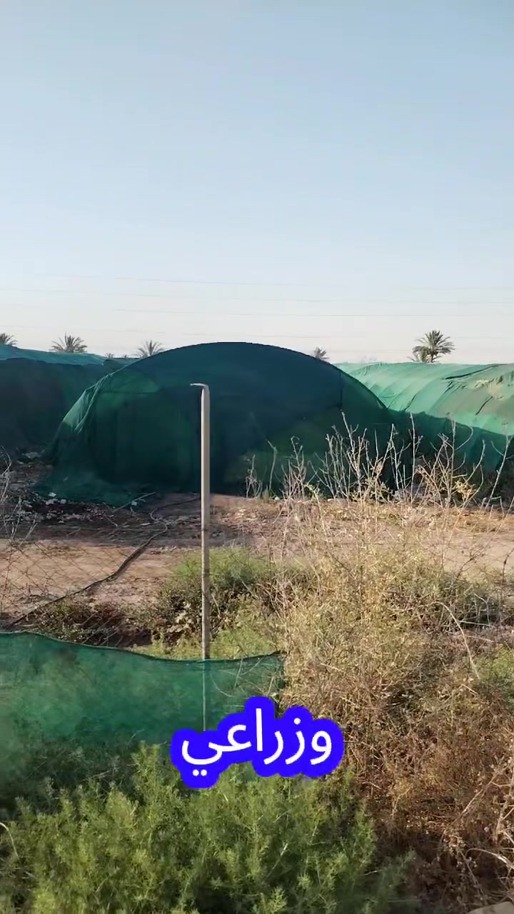 سلام عليكم
يتوفر لدينا دونم تجاري للبيع
في منطقة التاميم ناحيه محمد سكران الشارع العام الرابط بين خان بني سعد و الراشدية مجاور دائرة اسالة الماء نوع العقار
طابو زراعي سند ٢٥ عل طابو بعقوبه
واجهة ٣٦م نزال ٧٠م متوفر فيه جميع الخدمات ماء وكهرباء وتبليط وماء اساله
يصلح للسكن وبناء مخازن ومحلات والمعامل واي استثمار اخر للأستفسار الاتصال على الرقم *********** صباح
