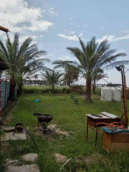 نصف دونم للبيع طابو زراعي  (1250) م٢ الجبهة 17.5 النزال 71 مساحة البناء (215) م٢ يحتوي على گراج يتسع 4سيارات استقبال كبير وهول و2 غرف نوم كبيرة ومطبخ وحولي وحمام مع حدائق مرتبة وخط أسألة مع 3أبيار ماء حلو مع تكيف مركزي جاهز وكاوتنر وتخم ومستلزمات بيت بسيطة من ضمن البيت بيت كامل ونظيف.
العنوان :هور رجب الفرع المقابل بانزين خانة أضواء بغداد
يبعد عن الشارع الرئيسي لهور رجب 100متر
للتوضيح تحويل حصة سند 25 على طابو المحموديه 

السعر:250 قبل للتفاوض 

للاستفار والتواصل على الرقم التالي 
***********
فقط واتساب
