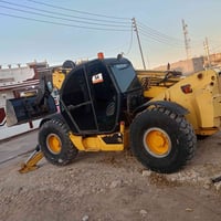 رافعة شوكية • ١٧م • ٢٠٧