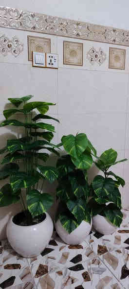 إذا أردت😍 أن ترى روح 🏞️الطبيعة فعليك 🌹💐بالورد أبهى تشكيلة لهذا الأسبوع
بجميع الأنواع و الأحجام  و  زيني بيتك والمكتب  تشكيلة😉 ورود للزينة متنوعة🥰 الوان زاهية ومعبرة
الوان واشكال🏵️❤️‍🔥❤️‍🔥 ترد الروح 
متوفرين في🫡 بيج اضواء كربلاء 😉بأحسن الأسعار 
للطلب راسل البيج او الاتصال ب الرقم *********** والتساب ***********
