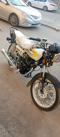 اللبيع مواليد 2025 رقمي 07731201660