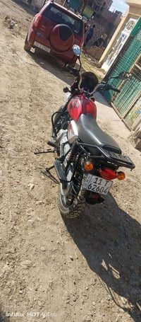 بوكسر جبلي • موديل ٢٣ • كفالة عام