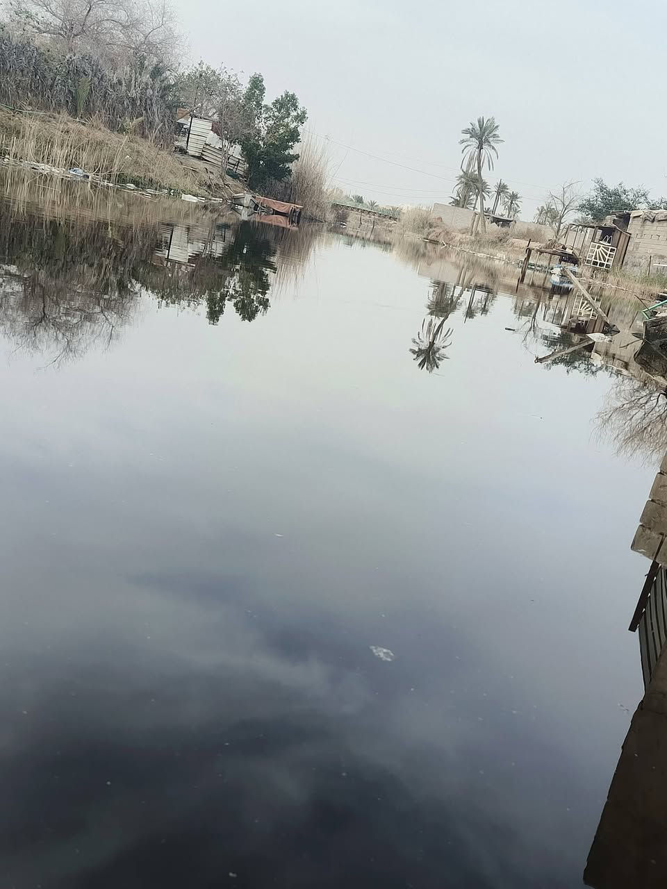 أسعد ألله أوقاتكم بكل خير ♦️
اللاستفسار ***********

توفرت أرض للبيع
ألمساحه ألكليه 1,300 متر
نصف دونم 

أرض مسيجه بل كامل
وتحتوي على مشتمل
مزروعه وعامره
على شط أبومقيره رئيسي

على شارع 12 م
توفر جميع الخدمات
ماء + كهرباء + مدارس كلش قريبه

نوع العقار : وقف سني أصولي

العنوان أبي الخصيب منطقت أبوكوصره 

سعر 85 وبيه مجال

اللاستفسار ***********
