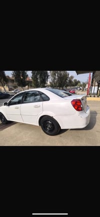 ٢٠١١ • بدون صبغ • جير اوتو