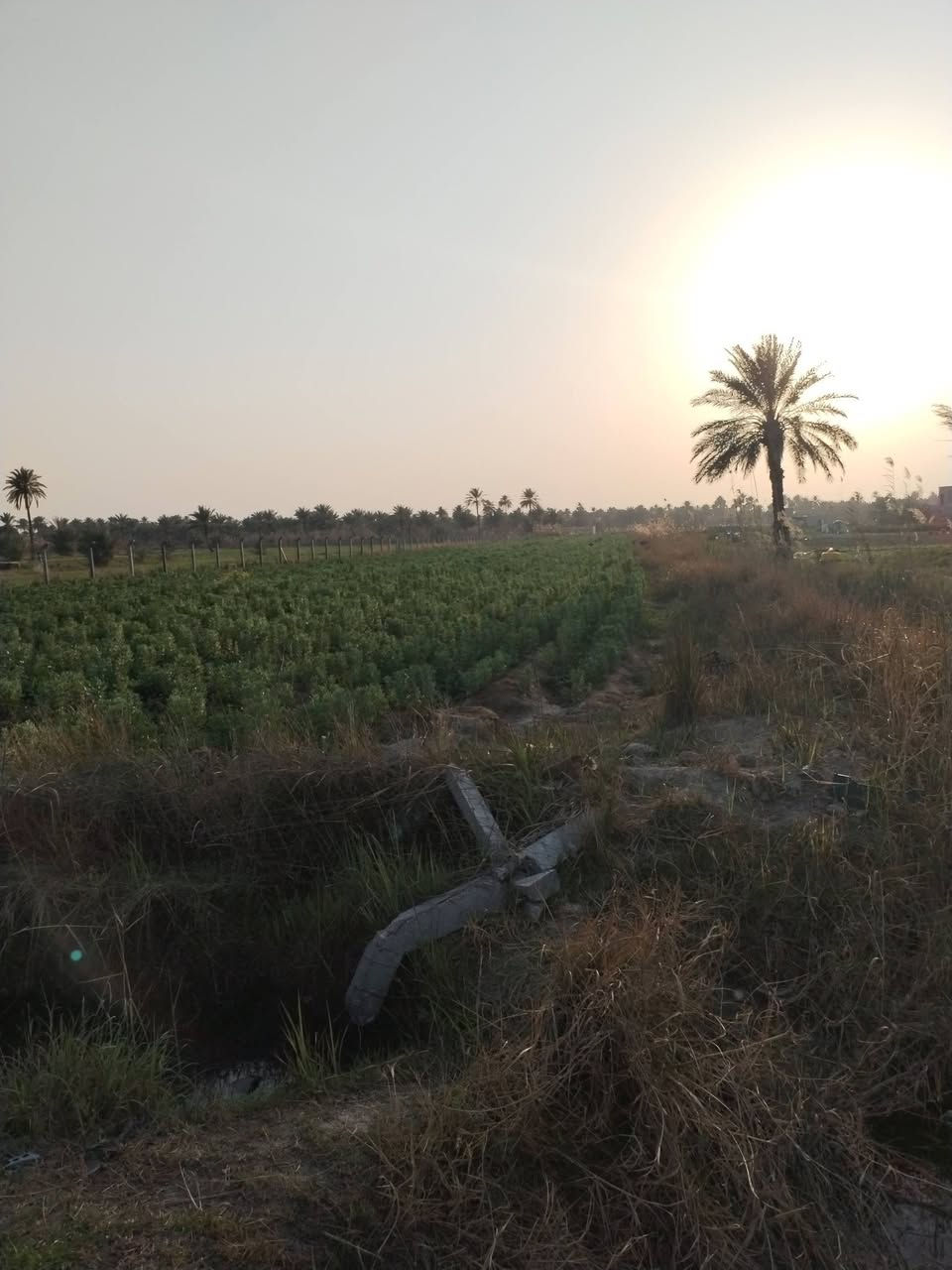 ارض زراعيه مساحه ٢دونم و٦٥٠متر كاع روعه تسقي سيحا موقع ممتاز كافه الخدمات طويريج حي العسكري تبعد عن الحولي ٦٠٠متر السعر ٢٣٥ مليون تفاصيل على الخاص مكتب حيدر للعقار ***********
