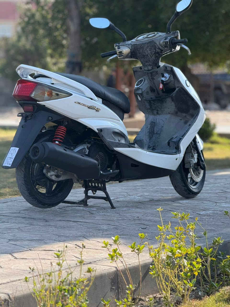 سلام عليكم ✋سكنس فحل نوزل خطين دراجه جديده ونضيفه كهربايات 💡كلهه شغاله مابيهه نقص برغي لاتنقيص لاتبخير لانضوح جيب وياك فيتر 👨🏻‍🔧قفل جنطه قفل ستيرن سويجات🔑 ثنين مكينه خرسه متنسمع شلعه معدل المكان 🏠 بغداد البياع السعر 750وبيهه مجال حك الجييه 📞***********
