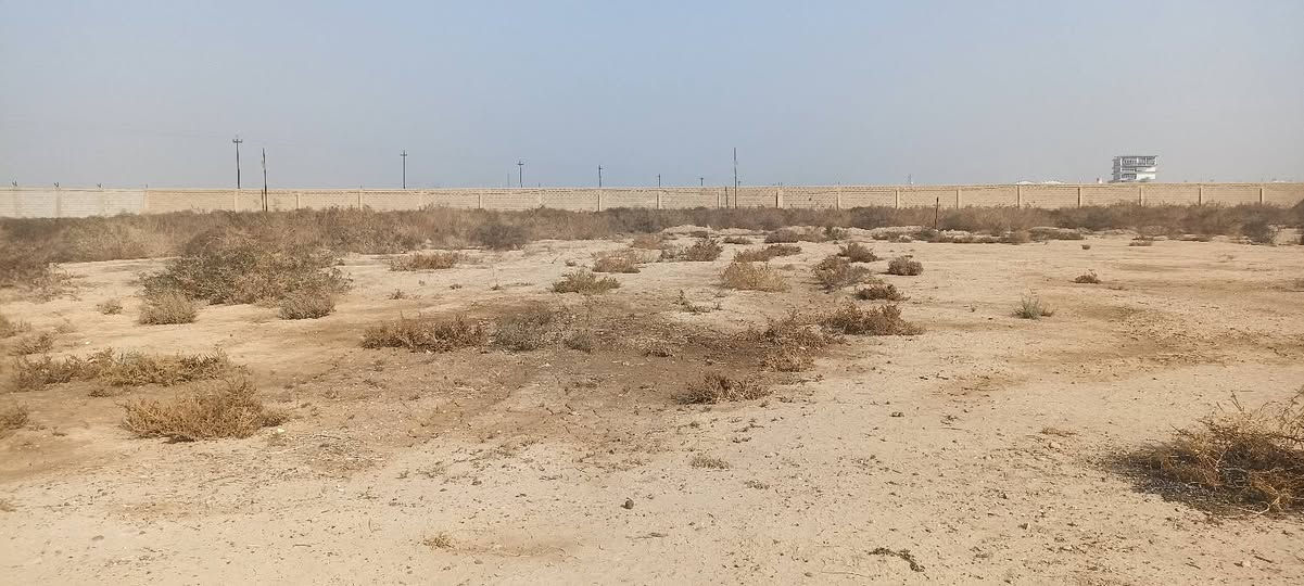 سلام عليكم يتوفر 5 دوانم طابو سند 25 تحويل ثاني يوم بسم المشتري العنوان المدائن  مقابل بسمايه تصلح شركه او مخازن اعمل تبعد عن شارع العام 400 كافة الخدمات متوفر 
مسيجه مثل ماموضح بالتصوير تفاصيل الاتصال وبيك خير ودلل بدارة أبو فهد العيساوي ***********
*********** سعر مناسب
