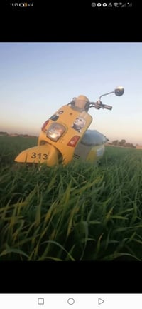 ماكس بوليس • نضيفه • بوشه ٤٩