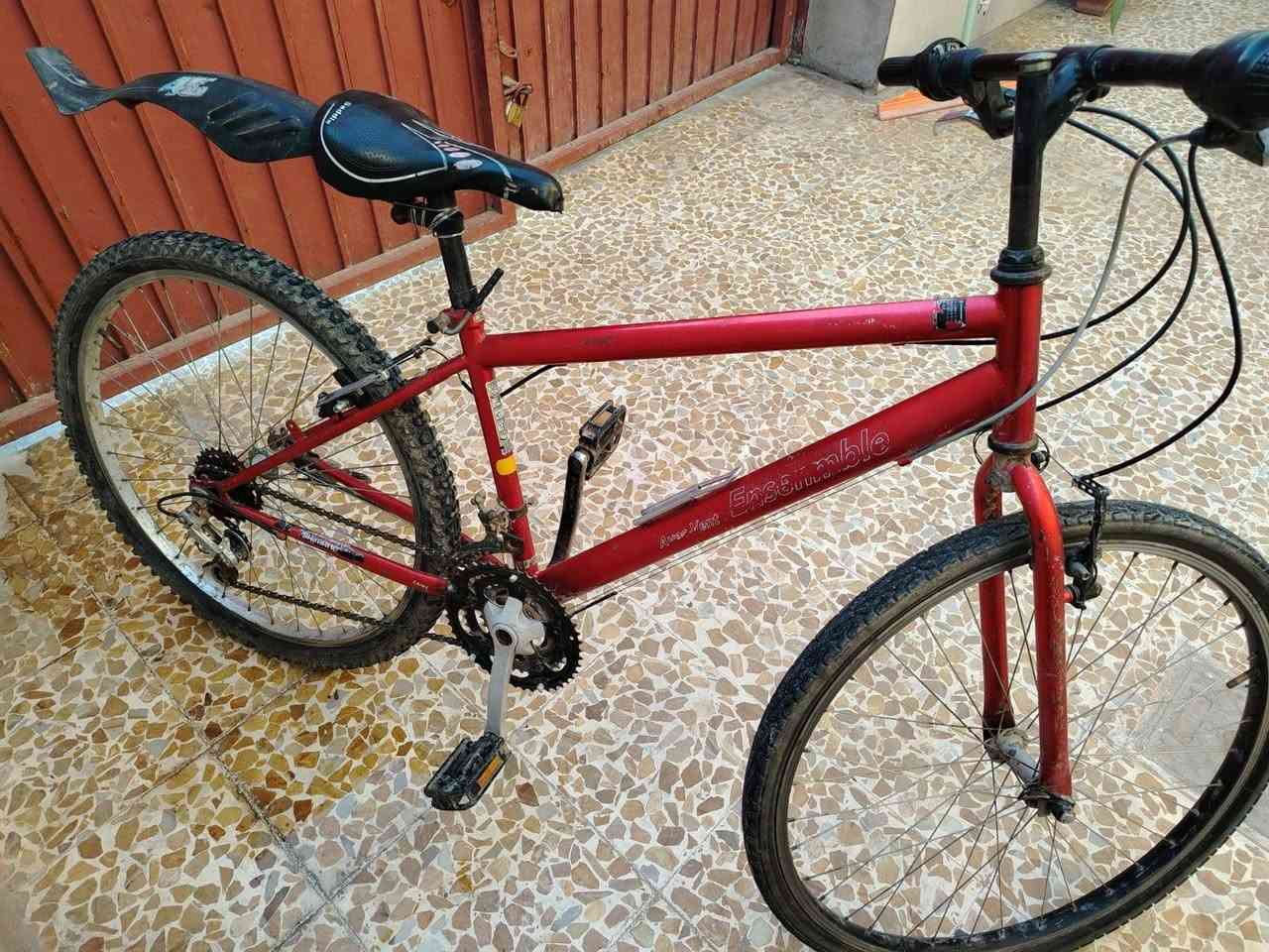 بايسكل للبيع شرط النظافه كلشي ما يعوزو كامل مكمل السعر 50 وبي مجال الشراي يجي خاص


**إذا كنت صاحب هذا الإعلان وتريد حذفه لأي سبب، رجاءا أرسل رسالة إلى الدعم الفني**