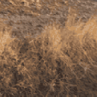 ٦دوانم • طابو زراعي • حي العسكري فلوجة