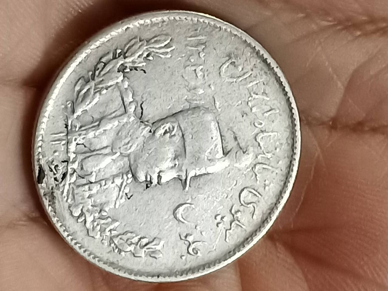 عملات فضة عالية النظافة شبه انسل باسعار مناسبة للجملة والمفرد للحجز راسل على الخاص


**إذا كنت صاحب هذا الإعلان وتريد حذفه لأي سبب، رجاءا أرسل رسالة إلى الدعم الفني**