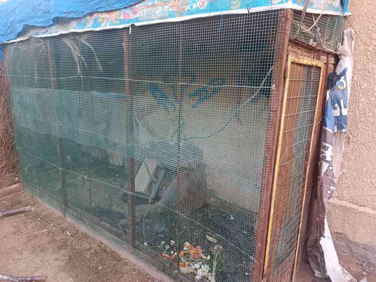 قفص بدون ضهر للبيع كامل مابي انقص سيم جديد
العرض متر  والرتفاع مترين وعرض الواجه 3متر 
السعر ٧٠وبي مجال ***********
