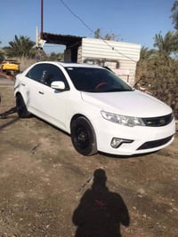 سيراتو • رقم اربيل • صبغ