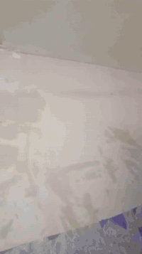 جزء من شغلي طلس وصبغ وعدي خبره بل تركيب الجبس اطلع بل يوميه رقم  07833...