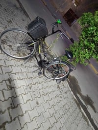 موزة ٢٦ • موديل ٢٠٢٤ • نظيف