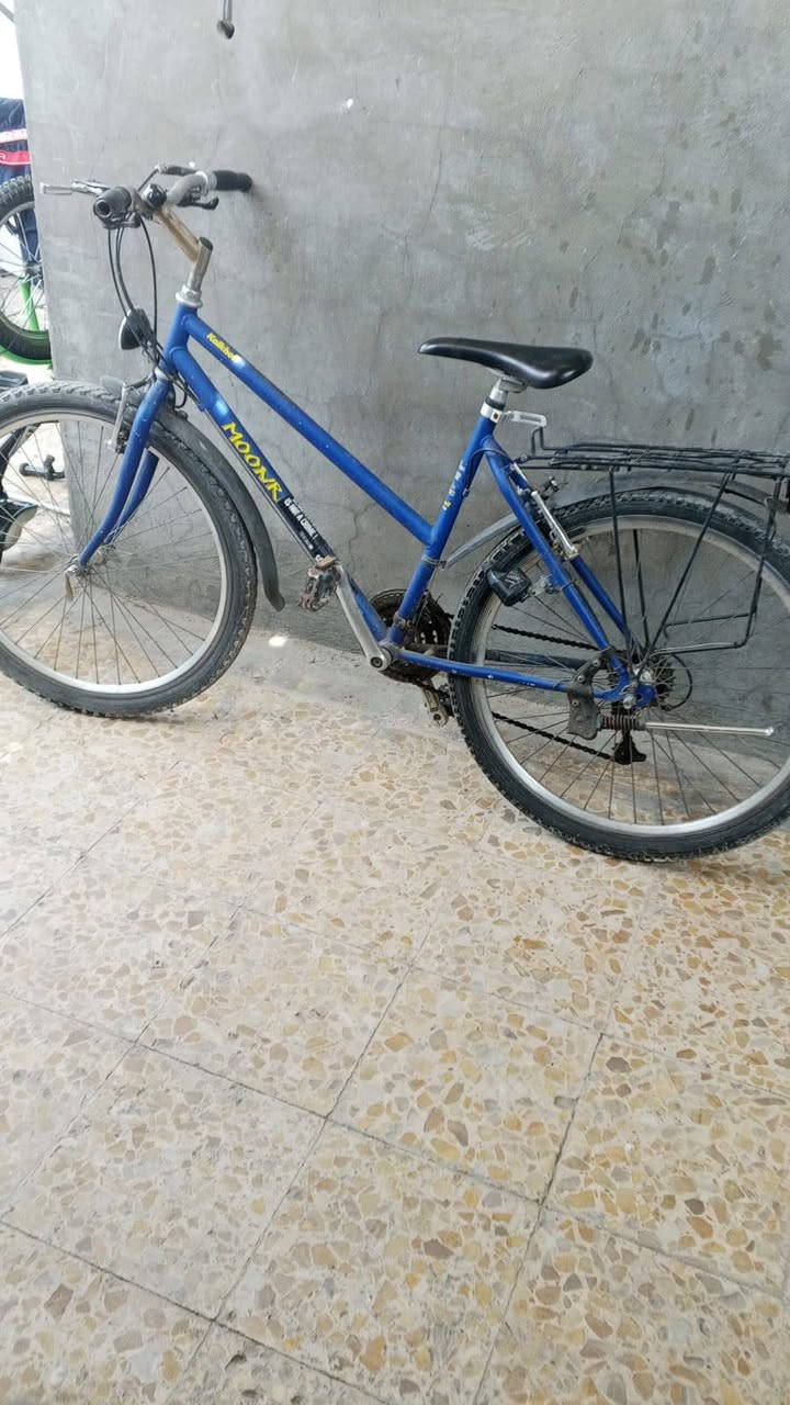 للبيع كلمن وسعره مكان نجف


**إذا كنت صاحب هذا الإعلان وتريد حذفه لأي سبب، رجاءا أرسل رسالة إلى الدعم الفني**