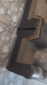 تركي نظيف ماعدا التجوات تعبانه هفلان السعر ١٥٠ الف ٠٧٨٣٠٣٧٦٥٢٠ واتساب ...