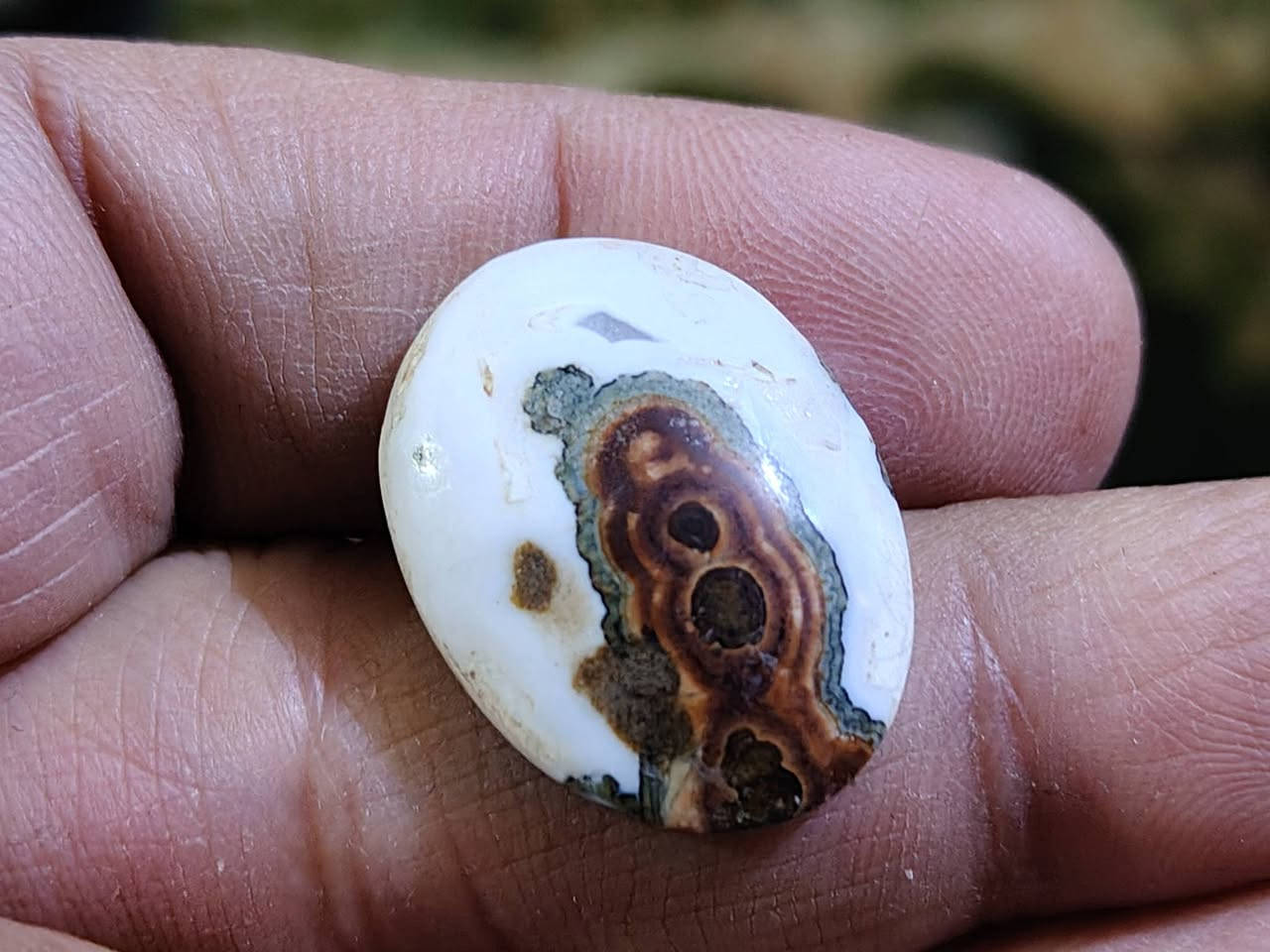 داودي يماني مصور وجه ولجعب قطعه خشنه السعر 35 الف للطلب ***********
