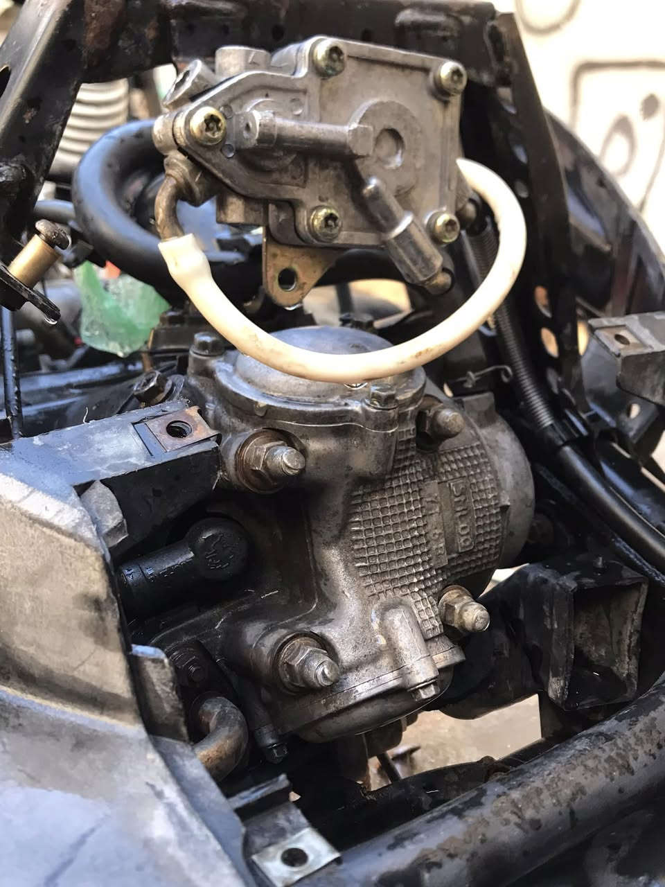 سلام عليكم دراجه سكنس فحل للبيع او مراوس  ***********
