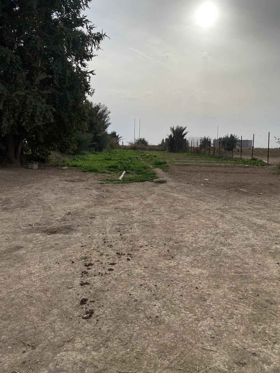 السلام عليكم نص دونم للبيع زراعي العنوان بغداد حي البتول للاستفسار ***********
