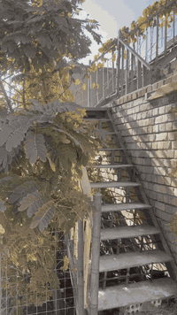 مشتملات • حي الامانه • ١٢٥م